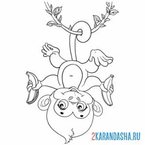 Раскраска обезьянка вверх ногами