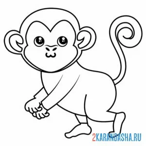 Раскраска обезьянка крошка