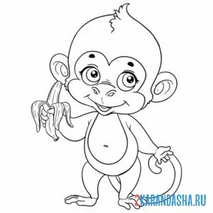 Раскраска обезьянка с одним бананом