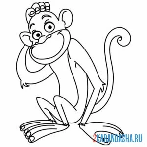 Раскраска обезьяна чешет голову