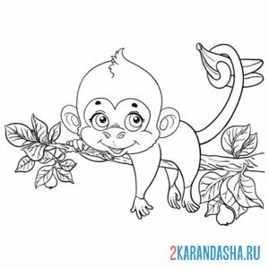 Раскраска обезьянка отдыхает