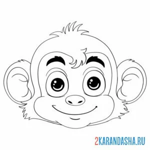 Раскраска голова обезьянки