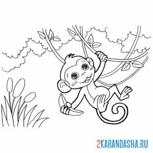 Раскраска обезьянка хулиганка на ветке