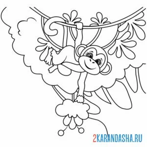 Раскраска обезьянка ловкач