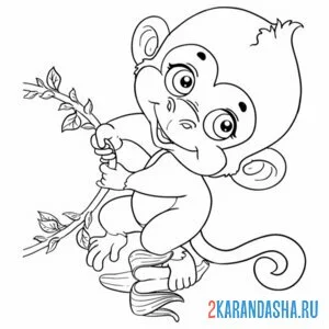 Раскраска обезьянка милашка на ветке