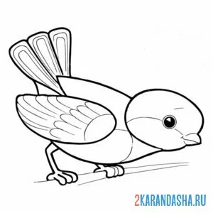 Раскраска простая синичка