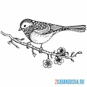 Раскраска синичка на ветке