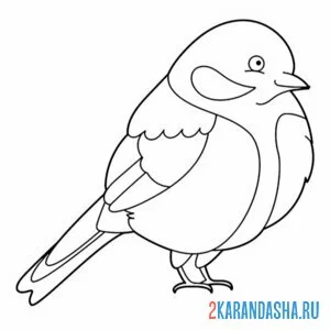 Раскраска пушистая синичка