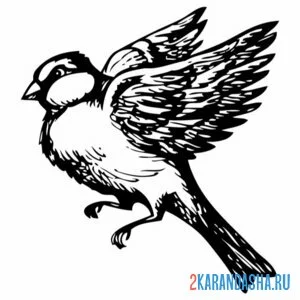 Раскраска синичка взлетела