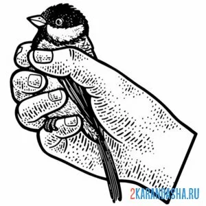 Раскраска синичка в руках
