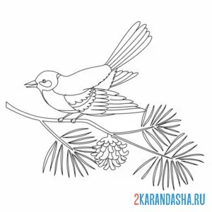 Раскраска синичка на елке