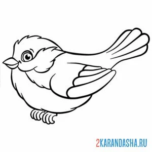 Раскраска синичка московка