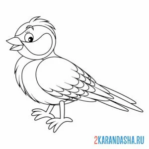 Раскраска синичка милая