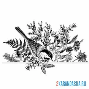 Раскраска синичка и ягоды