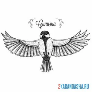 Раскраска синичка расправила крылья