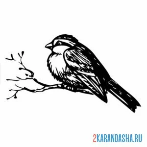 Раскраска синичка и ветка без листьев