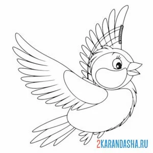 Раскраска большая синичка