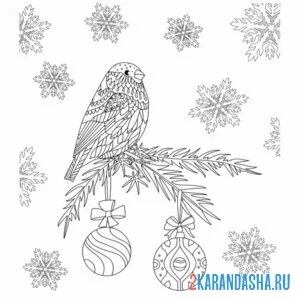 Раскраска снегирь антистресс