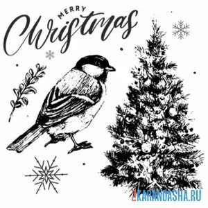 Раскраска синичка елка