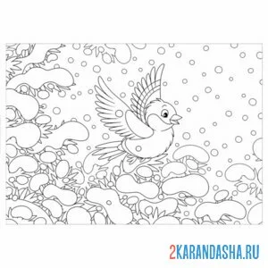Раскраска снегирь в лесу