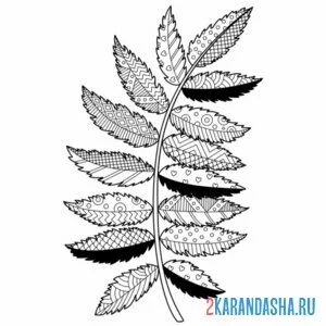 антистресс листья рябины