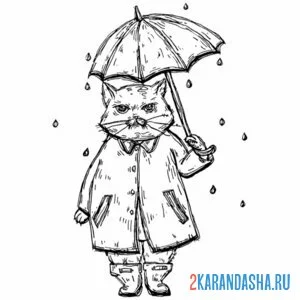 Раскраска кот в дождь под зонтом
