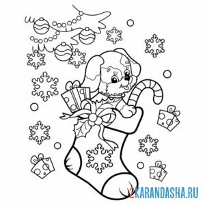 Раскраска собачка в новогоднем чулке