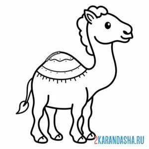 небольшой верблюд с одним горбом