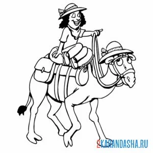 Раскраска турист на верблюде