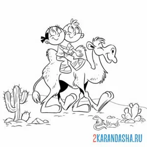 дети на верблюде