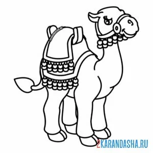 Раскраска верблюд иллюстрация