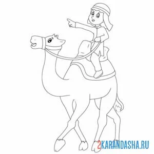 Раскраска бедуин на верблюде