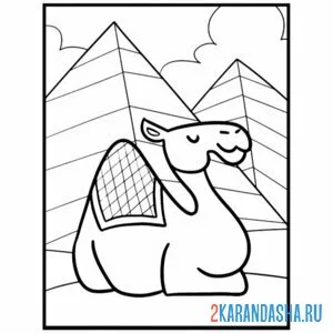 Раскраска египетский верблюд