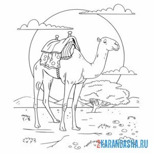 Раскраска закатное солнце пустыня верблюд