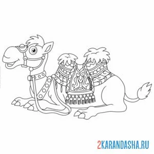 верблюд лежит