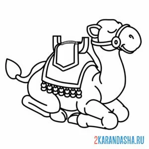 Раскраска верблюд спит