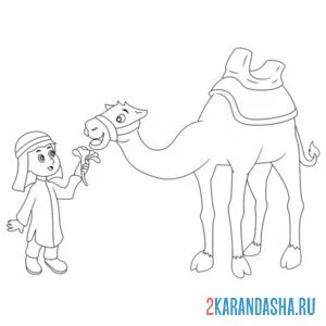 Раскраска верблюд и бедуин
