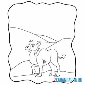 Раскраска пустыня с верблюдом