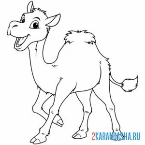 Раскраска смешной верблюжонок