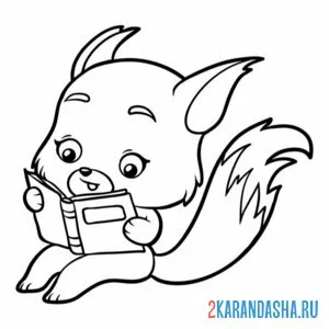 Раскраска белка читает книгу