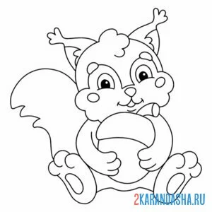 Раскраска белка обнимает орех
