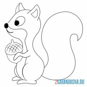 Раскраска удивленная белка