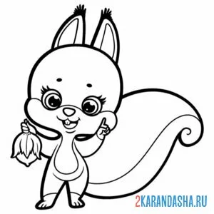 Раскраска белочка и цветочек