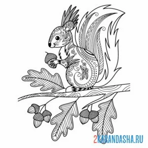 Раскраска белка на ветке
