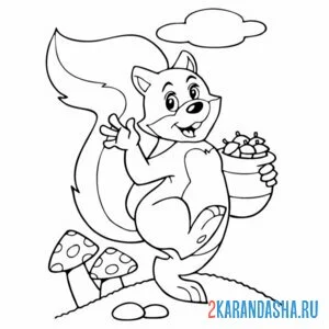 Раскраска белка с грибами
