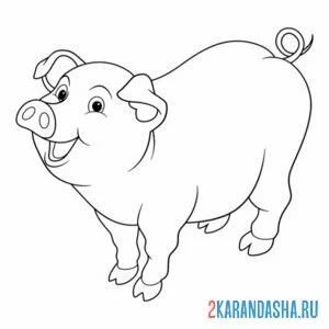 Раскраска толстенькая свинья