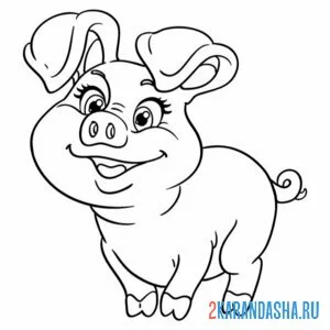 Раскраска смешная свинья