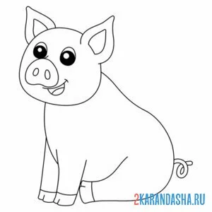 Раскраска свинья сидит