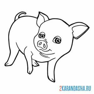 Раскраска свинья хрю