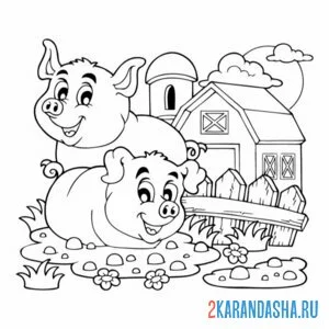 Раскраска свиньи на ферме